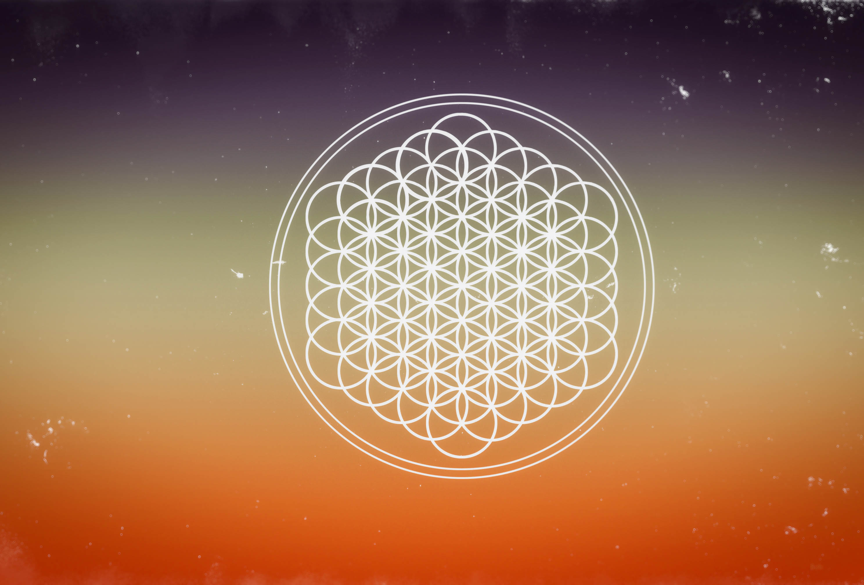 Bring Me The Horizon