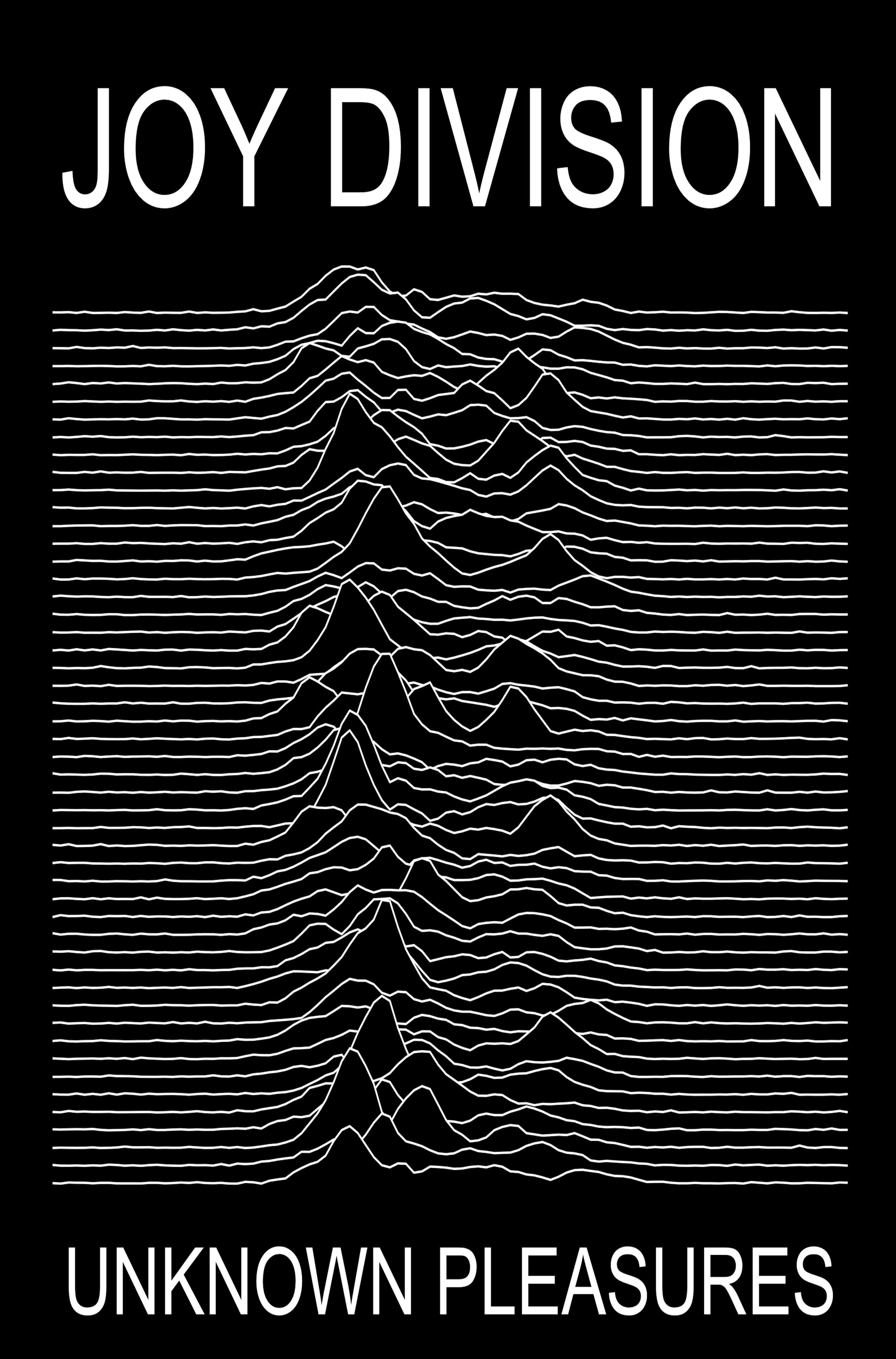 joy division